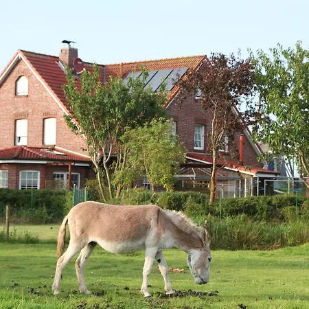 Haus Am Park Apartment